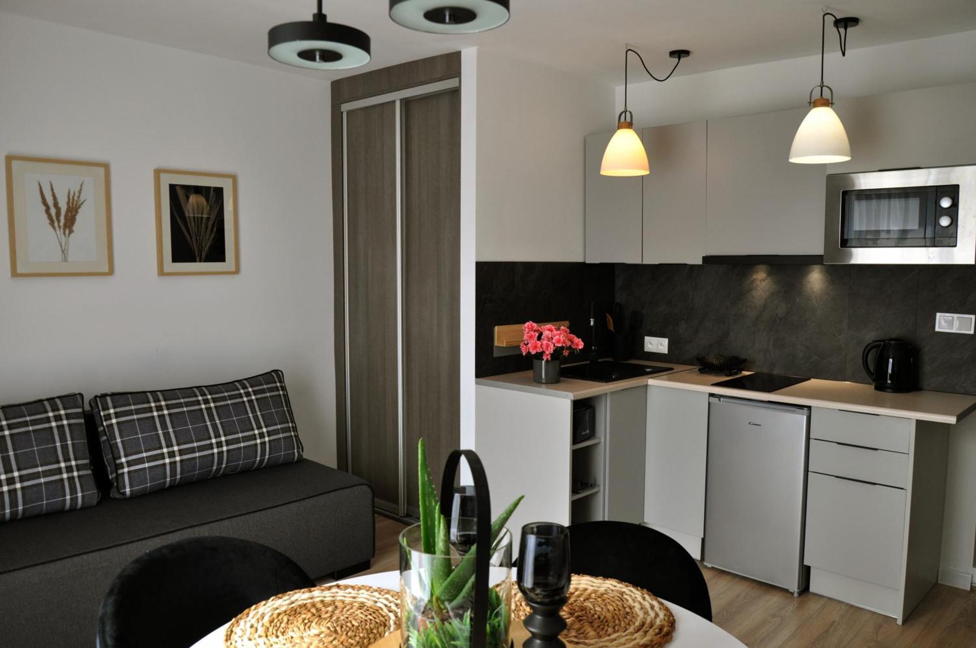 Willa Apart 19A Karpacz Extérieur photo